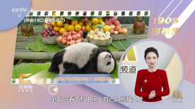 久久小视频